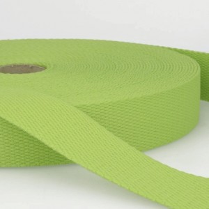 ELASTICO PIATTO 2,5 VERDE MELA 016  - TAGLIO DA 1 MT ELASTICO PIATTO 2,5 VERDE MELA 016  - TAGLIO DA 1 MT