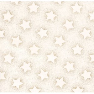 STELLONE BIANCHE GLITTERATE STELLONE BIANCHE GLITTERATE