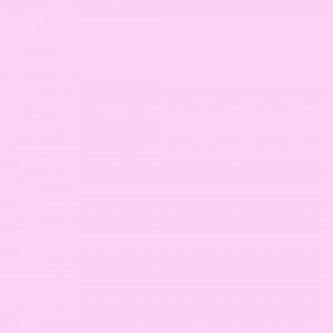 COTONE LILAC altezza 3mt