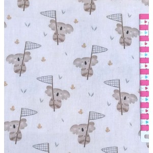 KOALA A CACCIA DI FARFALLE KOALA A CACCIA DI FARFALLE