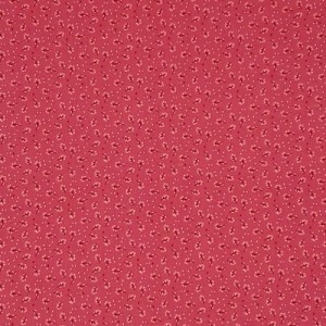 EMZA BASE RAPA ROSSA