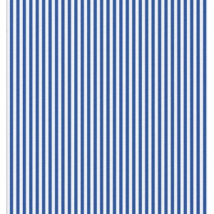 COTONE RIGHE BLUETTE