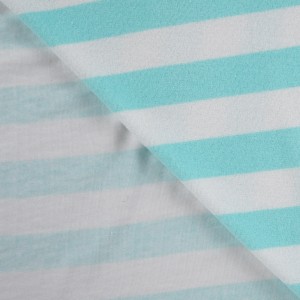 MICROSPUGNA COTONE STRIPE BIANCO E TURCHESE