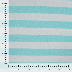 MICROSPUGNA COTONE STRIPE BIANCO E TURCHESE