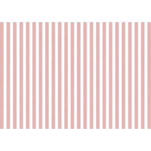 COTONE RIGHE 4mm BIANCO E NUOVO ROSA ANTICO