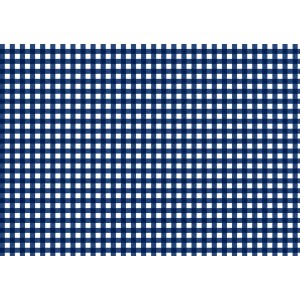 COTONE QUADRETTI 4.5MM BLU